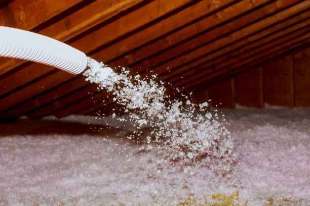 Best Insulation Contractors for Homes  in Lake Shore, UT